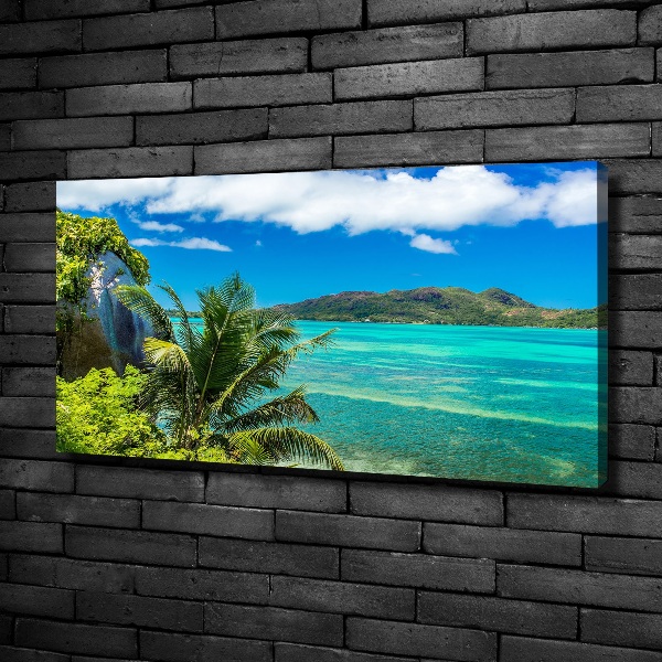 Quadro su tela Costa delle Seychelles