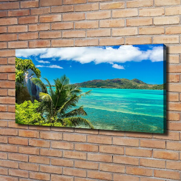 Quadro su tela Costa delle Seychelles
