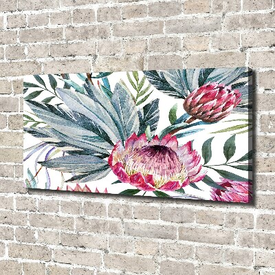 Quadro stampa su tela Protea