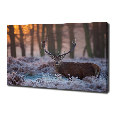 Quadro su tela Cervi all'alba