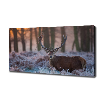 Quadro su tela Cervi all'alba