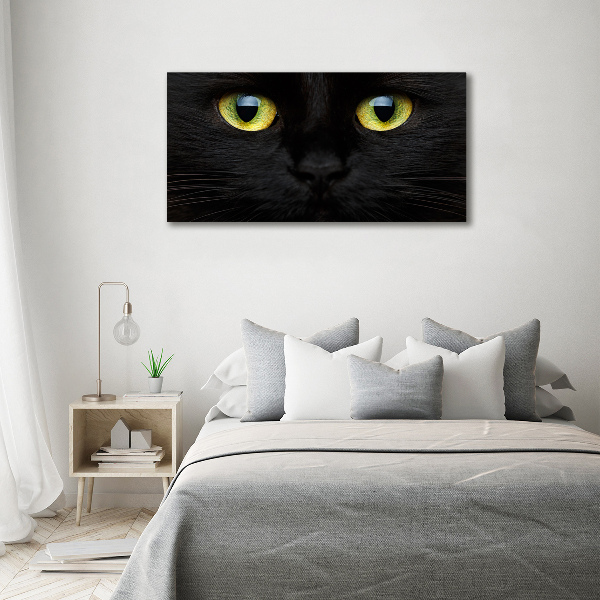 Foto quadro su tela Occhi di gatto