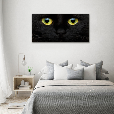 Foto quadro su tela Occhi di gatto