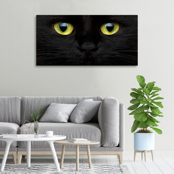 Foto quadro su tela Occhi di gatto