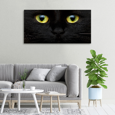 Foto quadro su tela Occhi di gatto