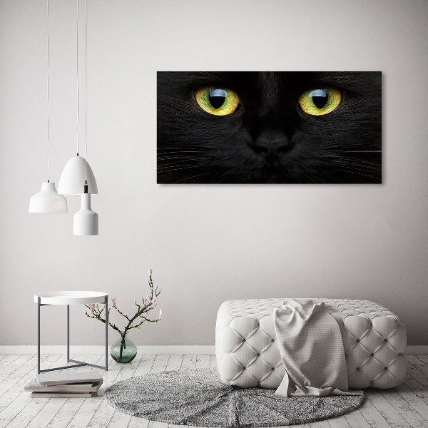 Foto quadro su tela Occhi di gatto