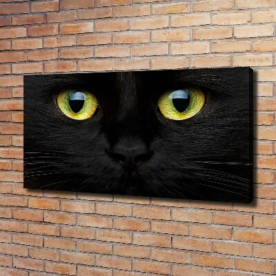 Foto quadro su tela Occhi di gatto