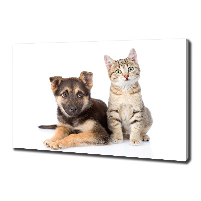 Quadro stampa su tela Cane e gatto