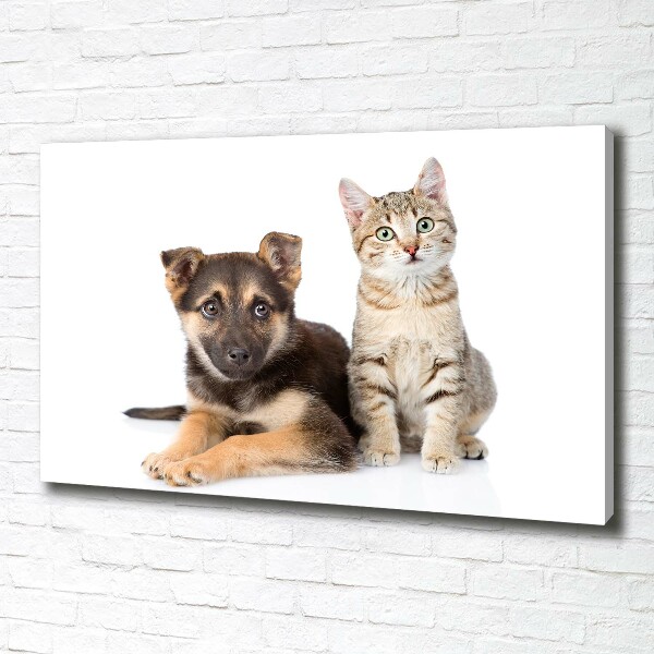 Quadro stampa su tela Cane e gatto