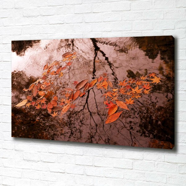 Quadro su tela Foglie sull'acqua