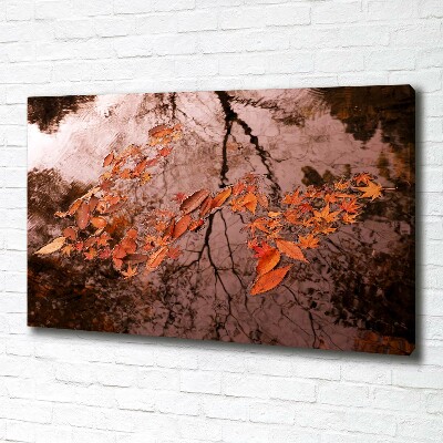Quadro su tela Foglie sull'acqua
