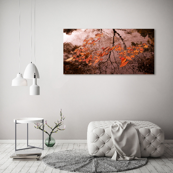 Quadro su tela Foglie sull'acqua