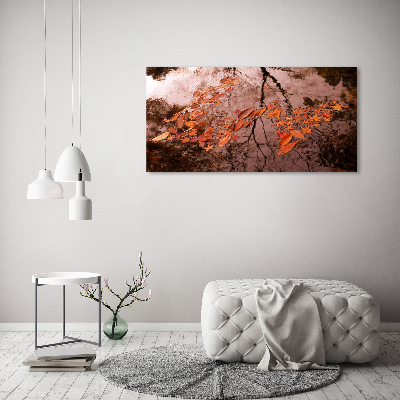 Quadro su tela Foglie sull'acqua