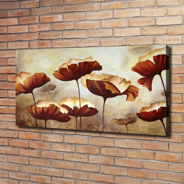 Foto quadro su tela Papaveri
