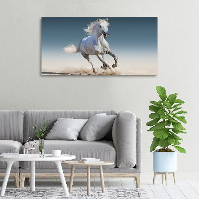 Foto quadro su tela Un cavallo bianco al galoppo