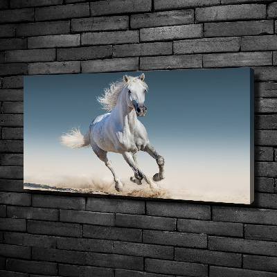 Foto quadro su tela Un cavallo bianco al galoppo