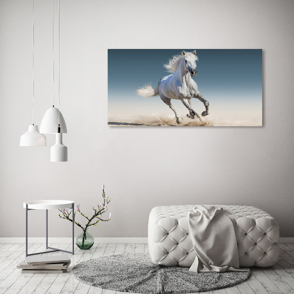 Foto quadro su tela Un cavallo bianco al galoppo