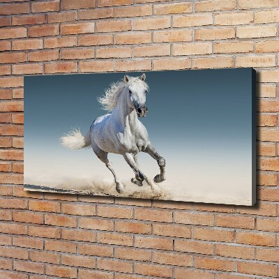 Foto quadro su tela Un cavallo bianco al galoppo