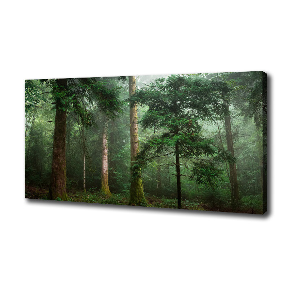 Quadro su tela Nebbia nella foresta
