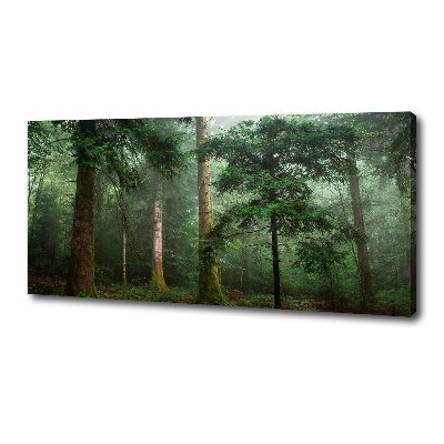 Quadro su tela Nebbia nella foresta