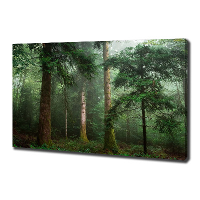 Quadro su tela Nebbia nella foresta