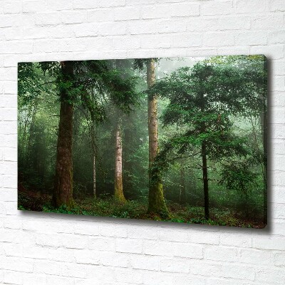 Quadro su tela Nebbia nella foresta
