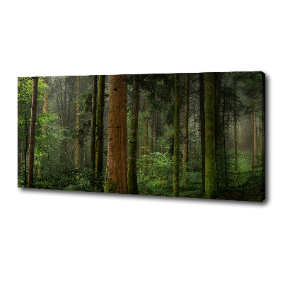 Foto quadro su tela Nebbia nella foresta