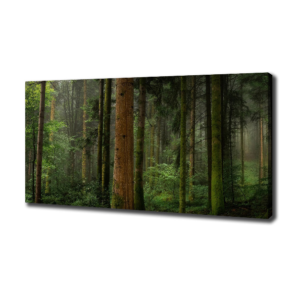 Foto quadro su tela Nebbia nella foresta