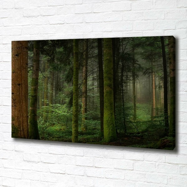 Foto quadro su tela Nebbia nella foresta