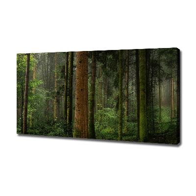 Foto quadro su tela Nebbia nella foresta