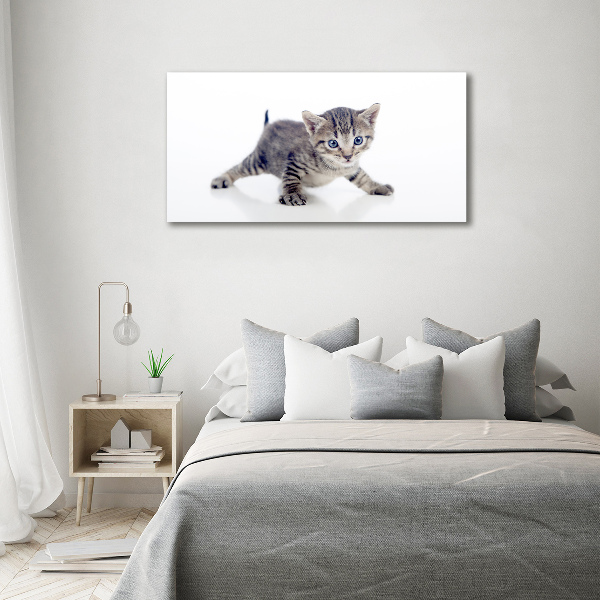 Foto quadro su tela Gattino