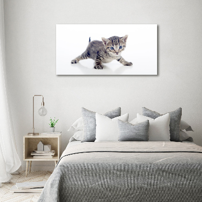 Foto quadro su tela Gattino