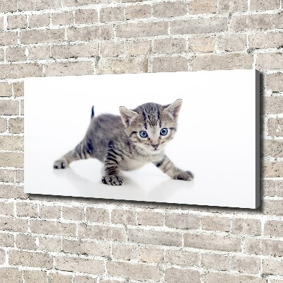 Foto quadro su tela Gattino