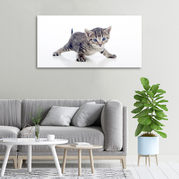 Foto quadro su tela Gattino