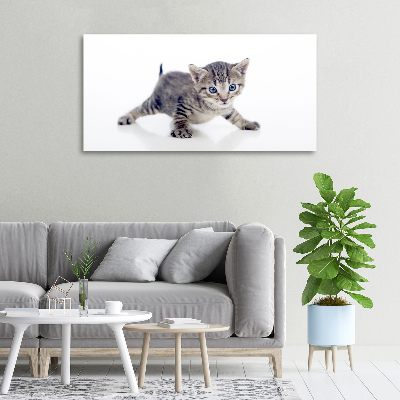 Foto quadro su tela Gattino