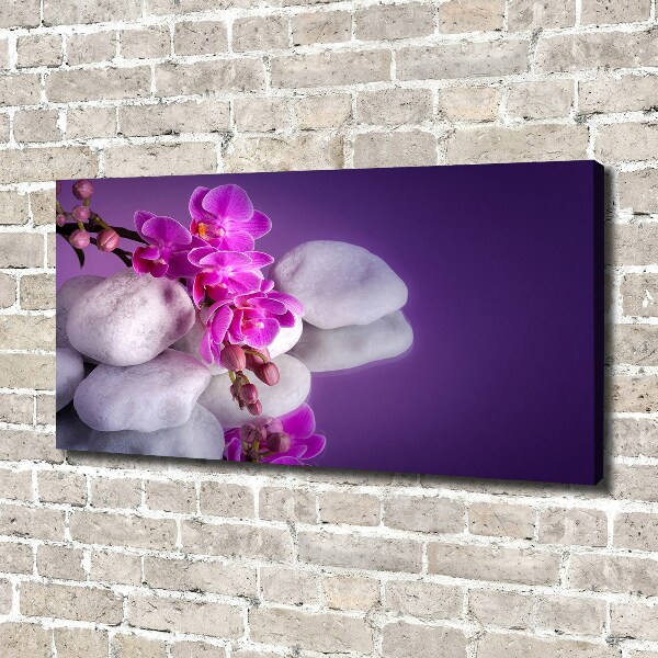 Foto quadro su tela Orchidea