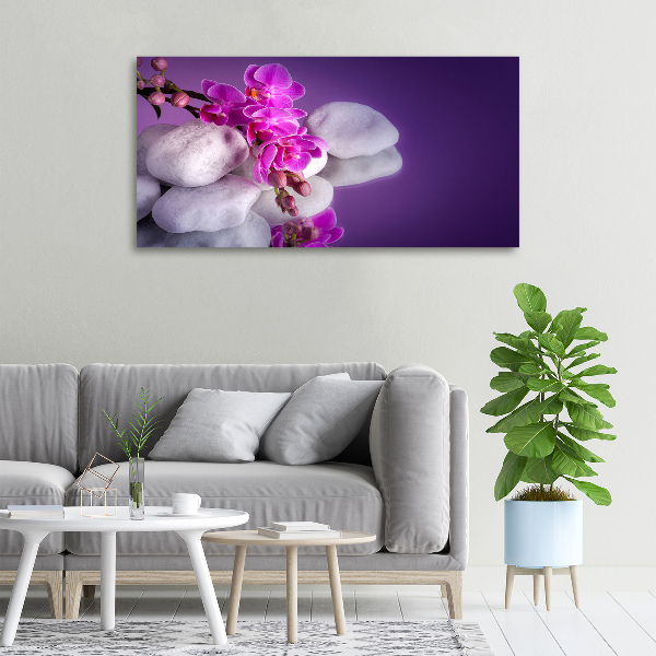 Foto quadro su tela Orchidea