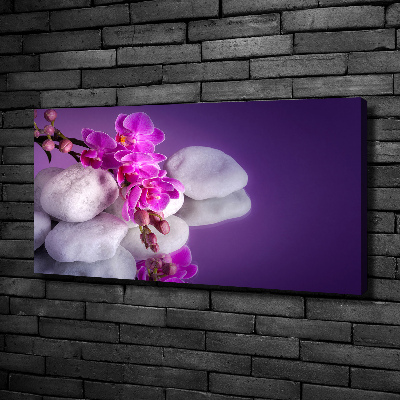 Foto quadro su tela Orchidea