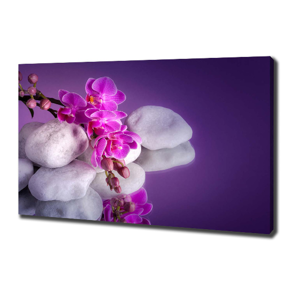 Foto quadro su tela Orchidea