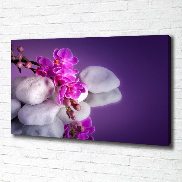 Foto quadro su tela Orchidea
