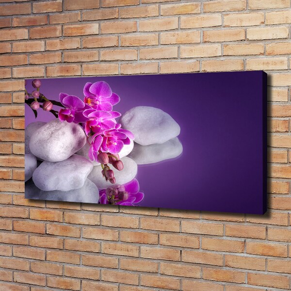 Foto quadro su tela Orchidea
