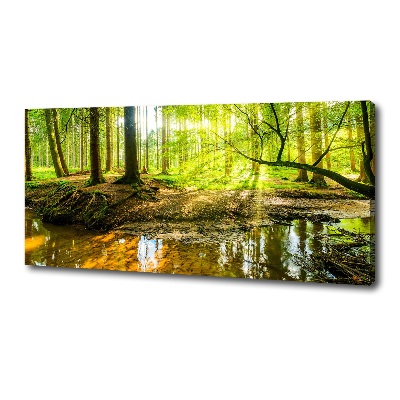 Foto quadro su tela Uno stagno nella foresta