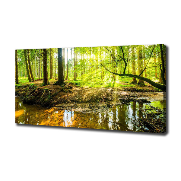 Foto quadro su tela Uno stagno nella foresta