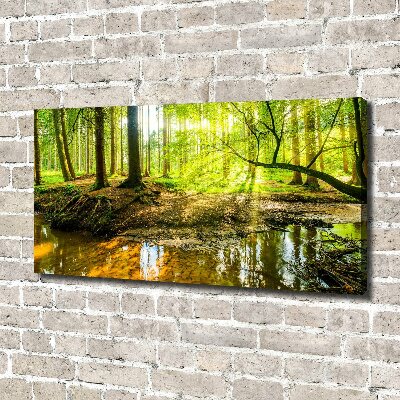 Foto quadro su tela Uno stagno nella foresta