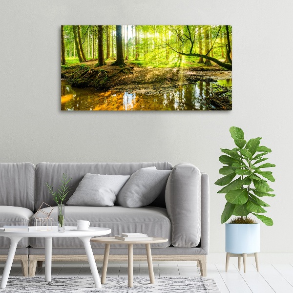 Foto quadro su tela Uno stagno nella foresta