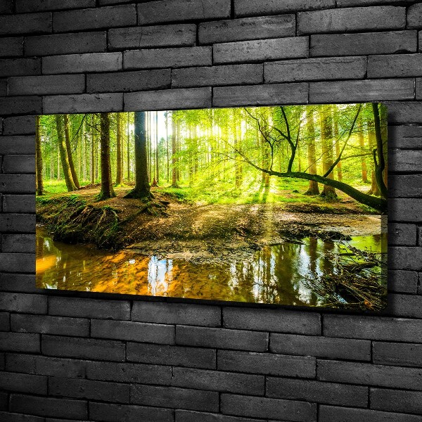 Foto quadro su tela Uno stagno nella foresta