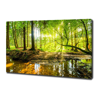 Foto quadro su tela Uno stagno nella foresta