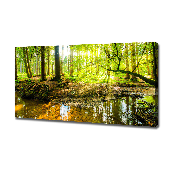 Foto quadro su tela Uno stagno nella foresta