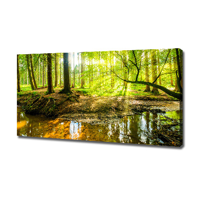 Foto quadro su tela Uno stagno nella foresta