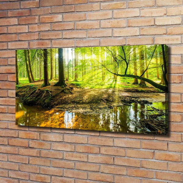 Foto quadro su tela Uno stagno nella foresta